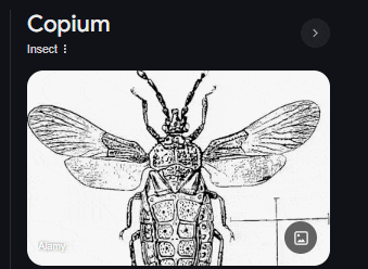 a black and white drawing of a bug with the word copium in the corner