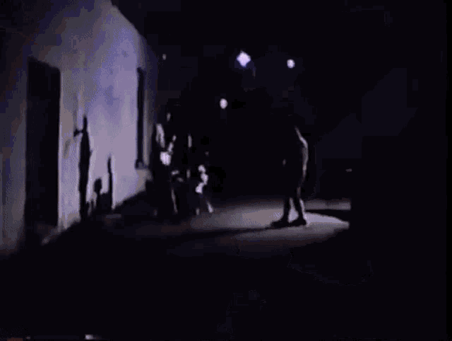 a group of people are walking down a street at night in a dark room .