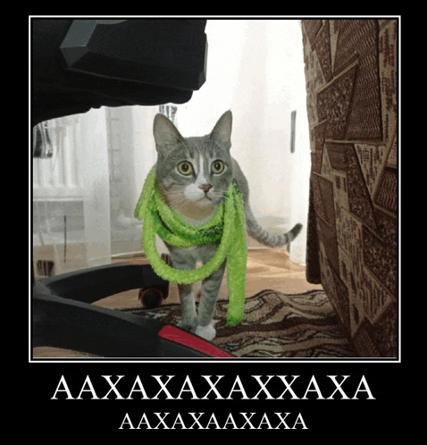 a cat wearing a green scarf is standing on a treadmill with the words aaxaxxaxxaxa written below it