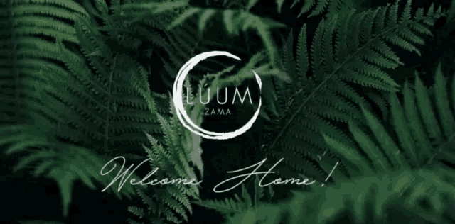 a logo for luum zama is surrounded by ferns
