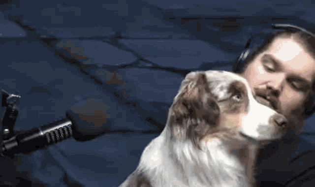a man with a beard is kissing a dog on the cheek in front of a microphone .