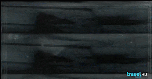 Adventures Paranormal GIF - Adventures Paranormal Ghost GIFs