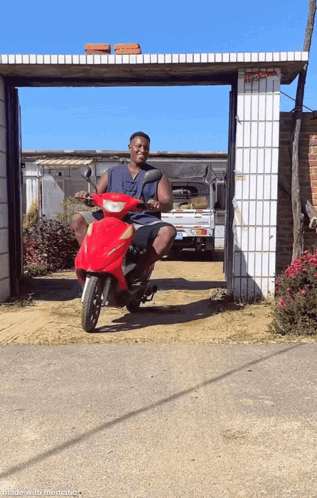 Bobo Moped GIF