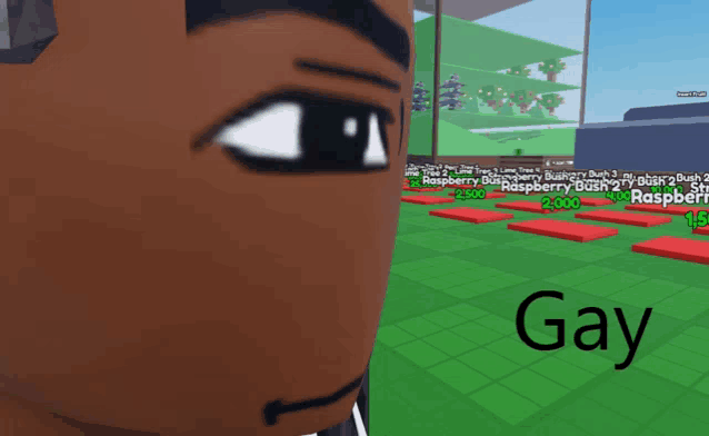 a screenshot of a video game with the word gay on the bottom right