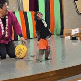 a man kneeling next to a monkey holding a yellow ball that says spalding