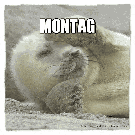 a picture of a seal with the word montag written on it