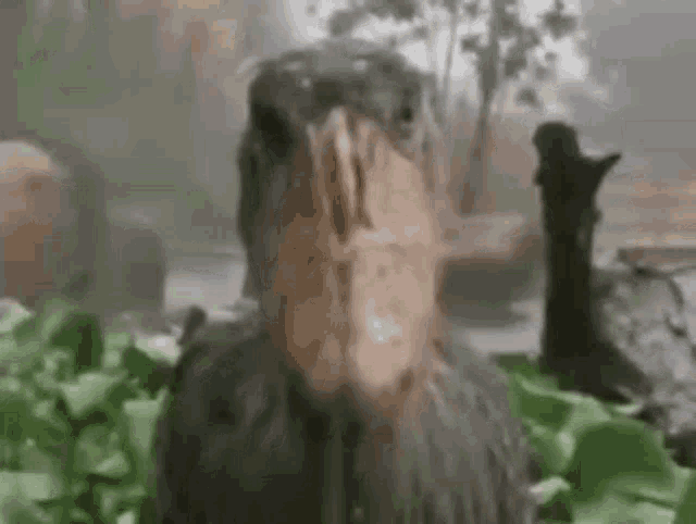 Bird Scary GIF - Bird Scary GIFs