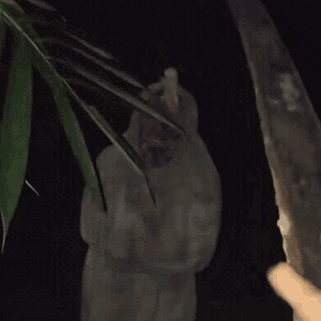 a statue of a man in a white robe is standing in the dark
