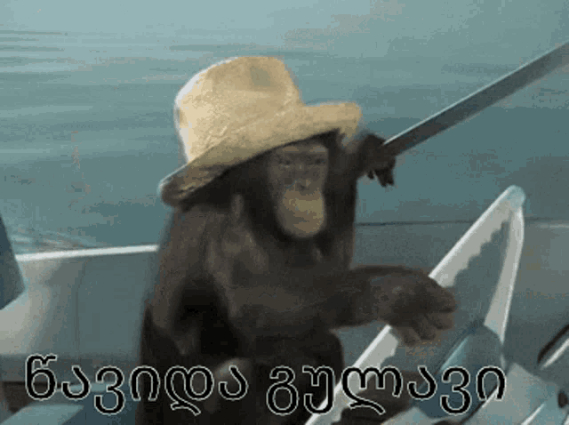 a chimpanzee wearing a straw hat is sitting on a boat holding a sword