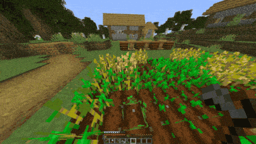 a screenshot of a minecraft game shows a field of plants