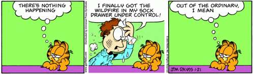 Garfield Alzheimer'S GIF