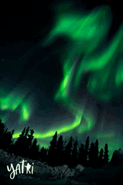 a picture of the aurora borealis with the name yatri written below it