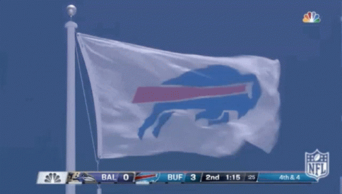 Buffalo Bills GIF - Buffalo Bills Football GIFs