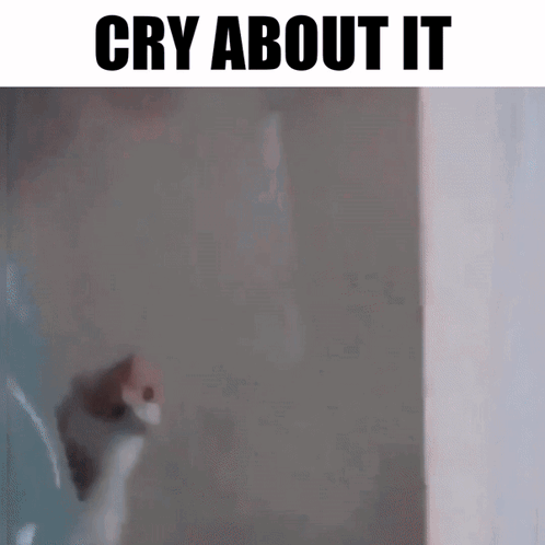 Zingus Cry GIF - Zingus Cry Cry About It GIFs