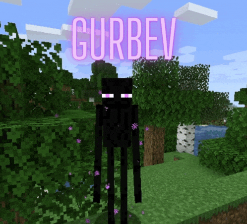 a picture of a minecraft character with the name gurbev above it
