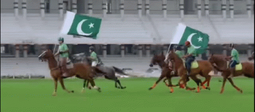 Pakistan Pakistan Flag GIF - Pakistan Pakistan Flag GIFs