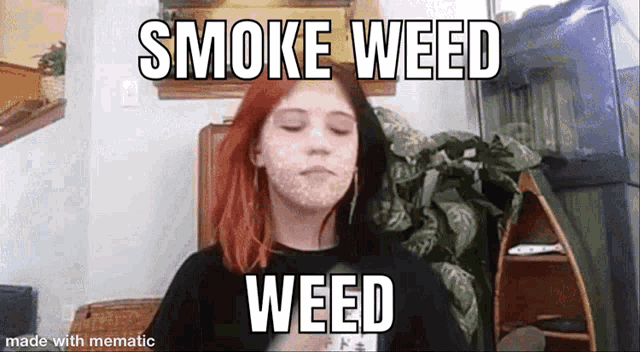 Smoke Weed Smoke Weed Weed GIF - Smoke Weed Smoke Weed Weed Weed GIFs
