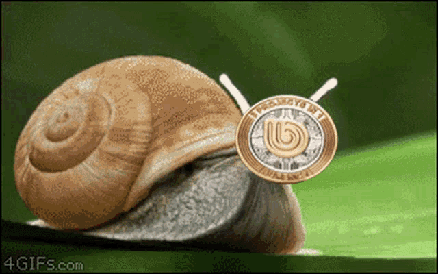a snail is crawling on a green leaf with a coin with the number 15 on it 's face