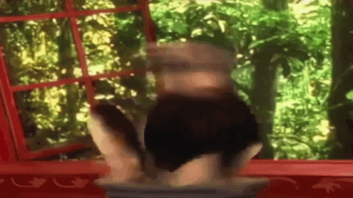 Zoboomafoo Zoboomafoo Spin GIF - Zoboomafoo Zoboomafoo Spin Spin GIFs