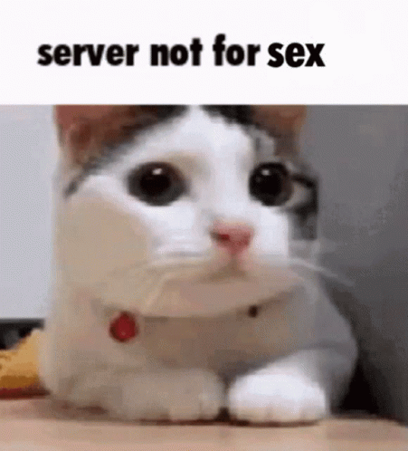 Server Not For Sex GIF - Server Not For Sex GIFs