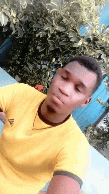 a man wearing a yellow adidas t-shirt looks at the camera