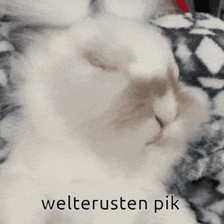 a close up of a cat with the words welterusten pik written below it