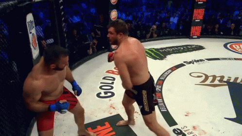 Knock Out Punch GIF - Bellator Mma Mitrione GIFs
