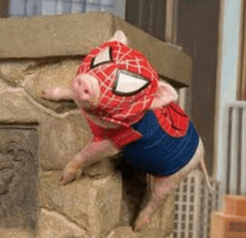Spiderman Pig GIF
