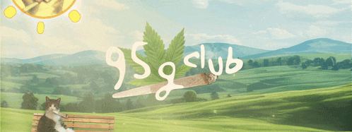 a cat sits on a bench in a field with a cigarette and the words 95g club