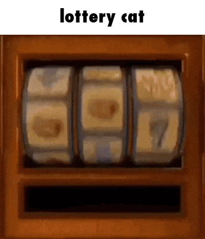 a slot machine with the words lottery cat on the top