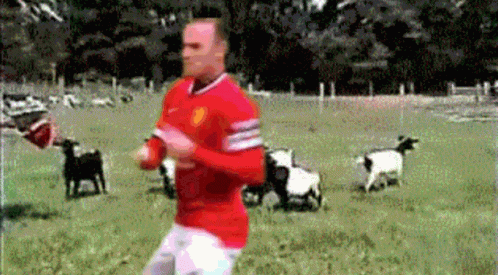 Wayne Rooney Rooney GIF - Wayne Rooney Rooney Karate GIFs