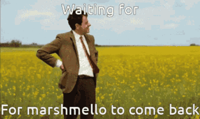 a man in a suit and tie is standing in a field of yellow flowers