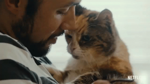 Kiss Cat People GIF - Kiss Cat People I Love You GIFs