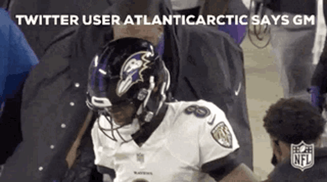 a football player wearing a helmet and a ravens jersey is being helped off the field .