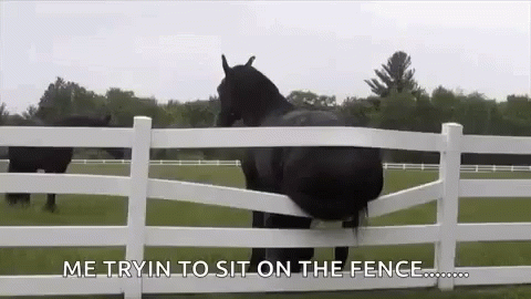 Itchy On The Fence GIF - Itchy On The Fence Lol GIFs