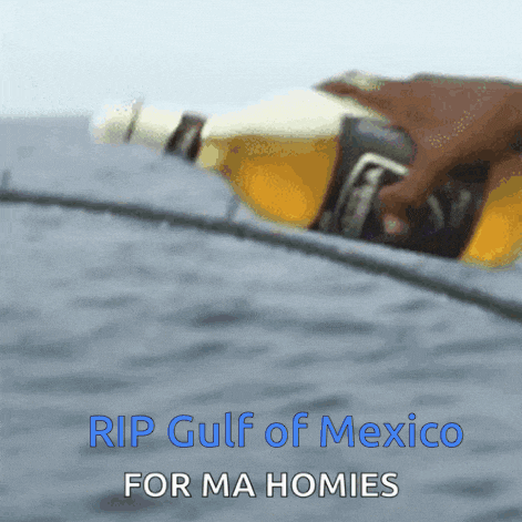 rip gulf of mexico for ma homies with a bottle of beer in the background