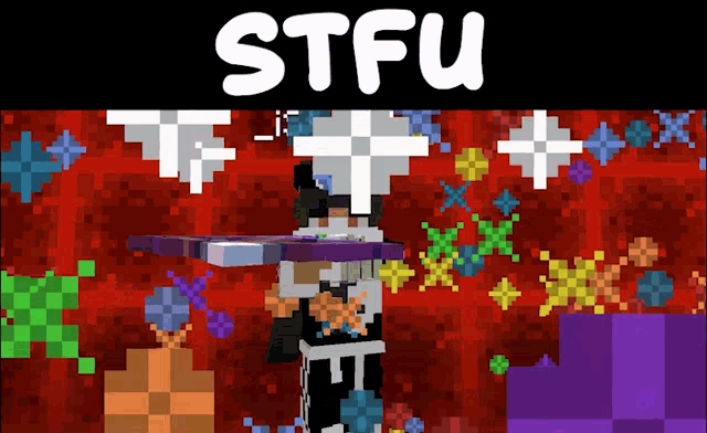 a screenshot of a video game with the word stfu on the top