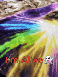 a colorful blanket with the words i 'm alive and a ghost