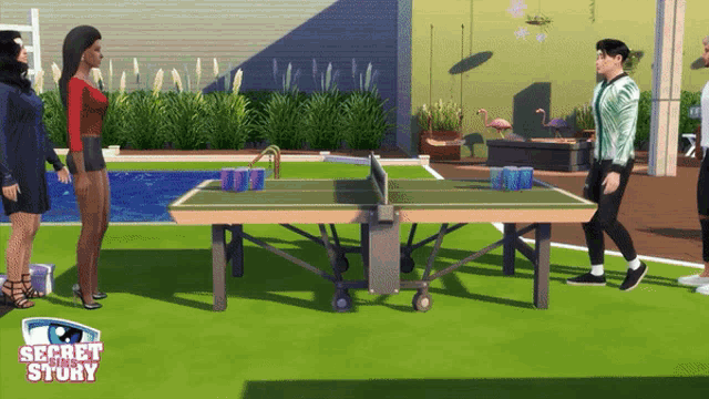 a video game called secret story has a ping pong table in the foreground