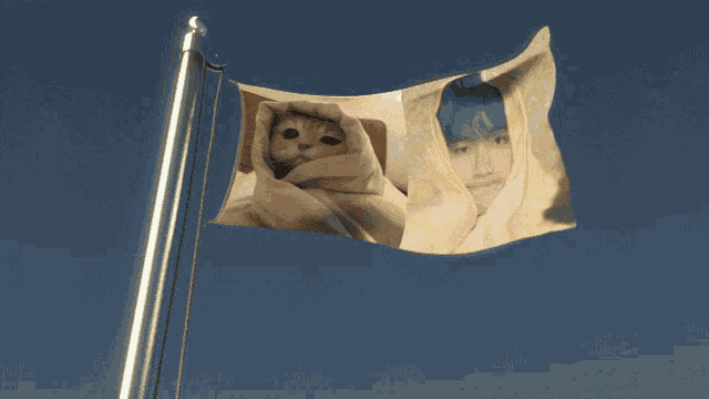 a flag with a picture of a cat and a picture of a boy wrapped in a blanket