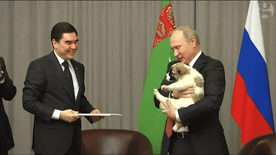 a man in a suit is holding a puppy in front of a flag