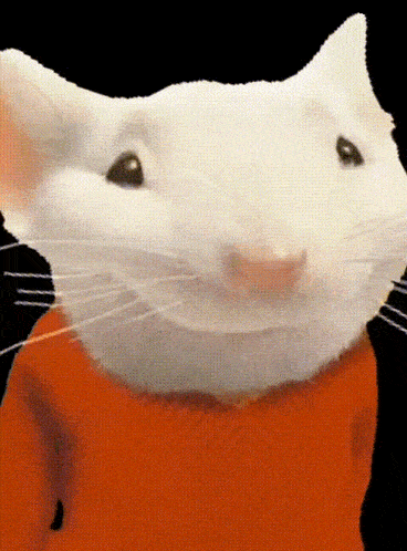 a close up of a white mouse wearing a orange shirt