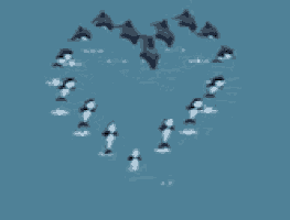 a circle of dolphins swimming in the ocean