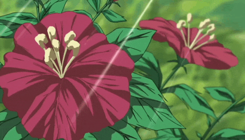a close up of a red flower with a yellow center