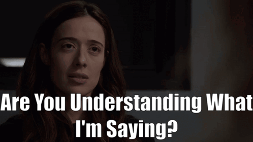 Chicago Pd Kim Burgess GIF - Chicago Pd Kim Burgess Are You Understanding What Im Saying GIFs