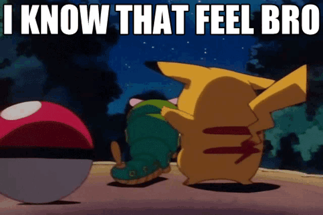 a pikachu and a caterpillar are standing next to each other with the words " i know that feel bro " above them