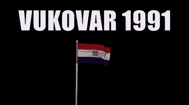 a flag is flying in front of a black background with the year 1991