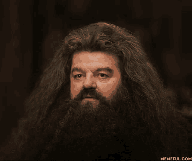 a man with long hair and a beard has a memeful.com logo on the bottom right