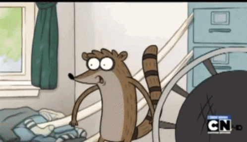 a cartoon of a raccoon with the word cn on it