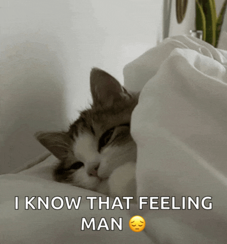 a cat laying under a blanket with the words i know that feeling man below it